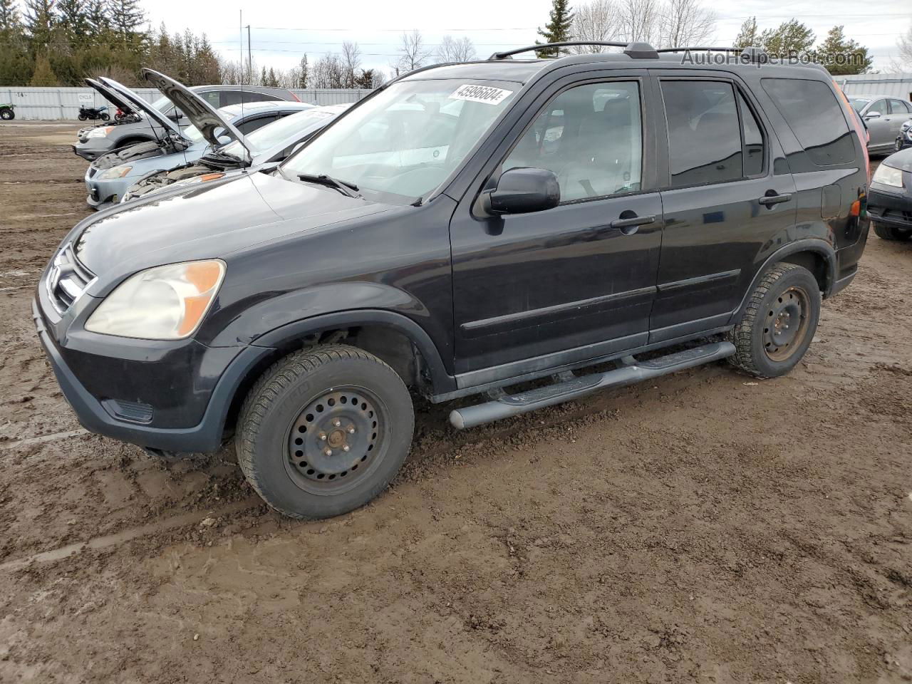 2004 Honda Cr-v Ex Black vin: JHLRD78974C810482