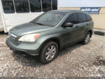 2008 Honda Cr-v Ex Green vin: JHLRE38588C014557