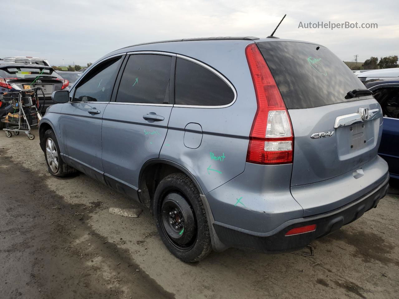 2009 Honda Cr-v Exl Silver vin: JHLRE38709C003992