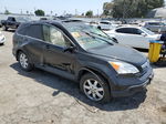 2009 Honda Cr-v Exl Black vin: JHLRE38749C012176