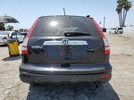 2009 Honda Cr-v Exl Black vin: JHLRE38749C012176