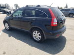 2009 Honda Cr-v Exl Black vin: JHLRE38759C003874