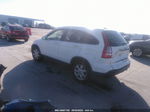 2009 Honda Cr-v Ex-l White vin: JHLRE38759C010971