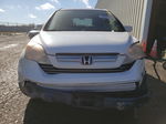 2009 Honda Cr-v Exl White vin: JHLRE38769C015032