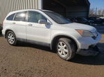 2009 Honda Cr-v Exl White vin: JHLRE38769C015032