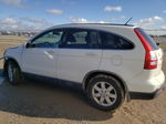 2009 Honda Cr-v Exl Белый vin: JHLRE38769C015032