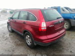 2010 Honda Cr-v Lx Red vin: JHLRE3H32AC010329