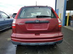 2010 Honda Cr-v Lx Красный vin: JHLRE3H36AC009278