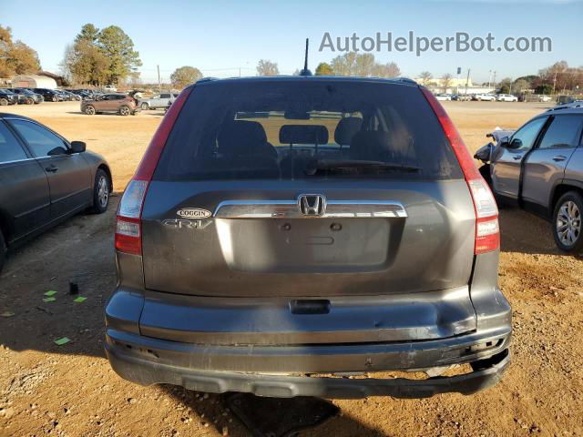 2010 Honda Cr-v Exl Gray vin: JHLRE3H72AC002248