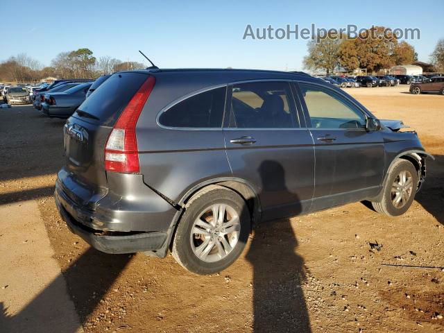 2010 Honda Cr-v Exl Gray vin: JHLRE3H72AC002248