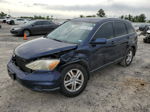 2010 Honda Cr-v Exl Blue vin: JHLRE3H72AC007191