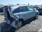 2010 Honda Cr-v Ex-l Silver vin: JHLRE3H73AC001724