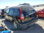 2010 Honda Cr-v Exl Black vin: JHLRE3H74AC008486