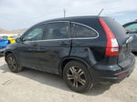 2010 Honda Cr-v Exl Black vin: JHLRE3H75AC000316