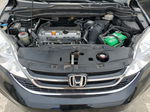 2010 Honda Cr-v Exl Black vin: JHLRE3H75AC000316