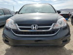 2010 Honda Cr-v Exl Black vin: JHLRE3H75AC000316