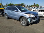 2010 Honda Cr-v Exl Blue vin: JHLRE3H75AC004317