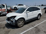 2010 Honda Cr-v Exl White vin: JHLRE3H76AC004598