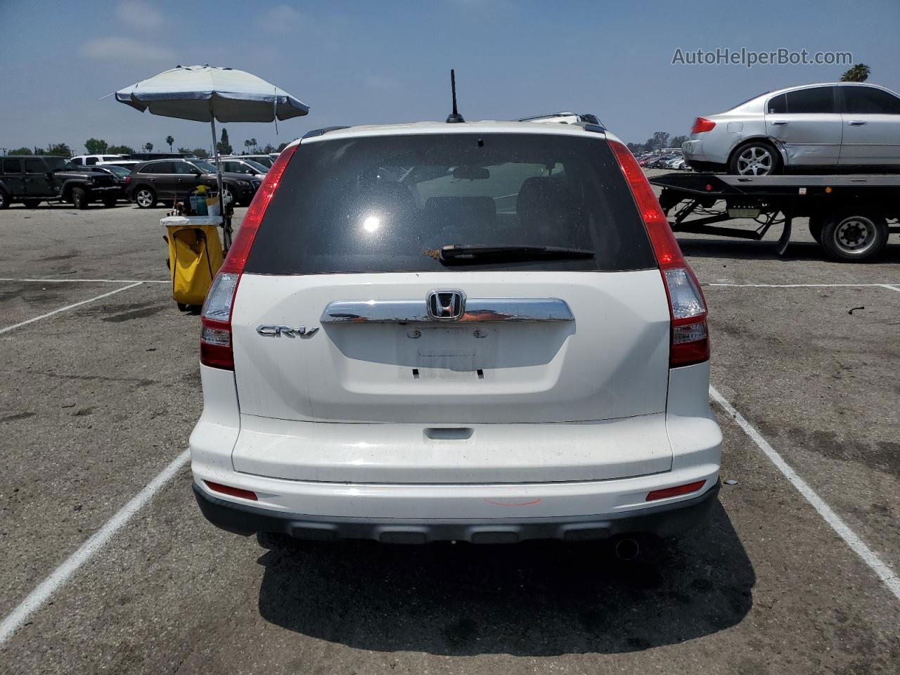 2010 Honda Cr-v Exl White vin: JHLRE3H76AC004598