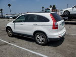 2010 Honda Cr-v Exl White vin: JHLRE3H76AC004598