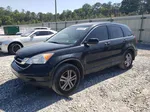 2010 Honda Cr-v Exl Black vin: JHLRE3H76AC011535