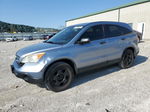 2009 Honda Cr-v Lx Blue vin: JHLRE48359C013419