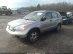 2009 Honda Cr-v Lx Tan vin: JHLRE48369C023019