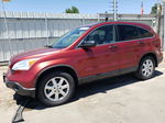 2009 Honda Cr-v Ex Burgundy vin: JHLRE485X9C009061