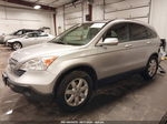 2009 Honda Cr-v Ex-l Silver vin: JHLRE48729C007967