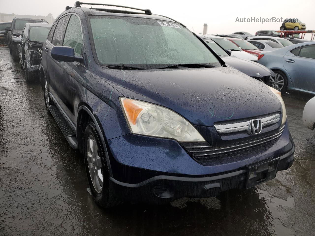 2009 Honda Cr-v Exl Blue vin: JHLRE48799C008369