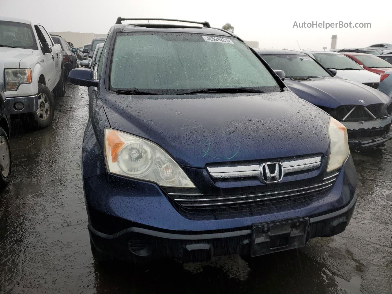 2009 Honda Cr-v Exl Blue vin: JHLRE48799C008369