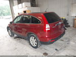 2009 Honda Cr-v Ex-l Red vin: JHLRE48799C024734