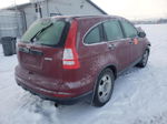 2010 Honda Cr-v Lx Темно-бордовый vin: JHLRE4H39AC016098