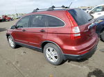 2010 Honda Cr-v Ex Red vin: JHLRE4H54AC000327