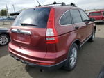 2010 Honda Cr-v Ex Red vin: JHLRE4H54AC000327