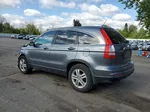 2010 Honda Cr-v Exl Charcoal vin: JHLRE4H70AC000262