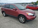 2010 Honda Cr-v Exl Red vin: JHLRE4H71AC002831