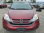 2010 Honda Cr-v Exl Red vin: JHLRE4H71AC002831