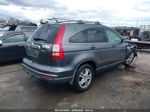 2010 Honda Cr-v Ex-l Gray vin: JHLRE4H71AC011710