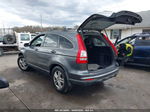 2010 Honda Cr-v Ex-l Gray vin: JHLRE4H71AC011710