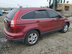 2010 Honda Cr-v Exl Red vin: JHLRE4H79AC006920