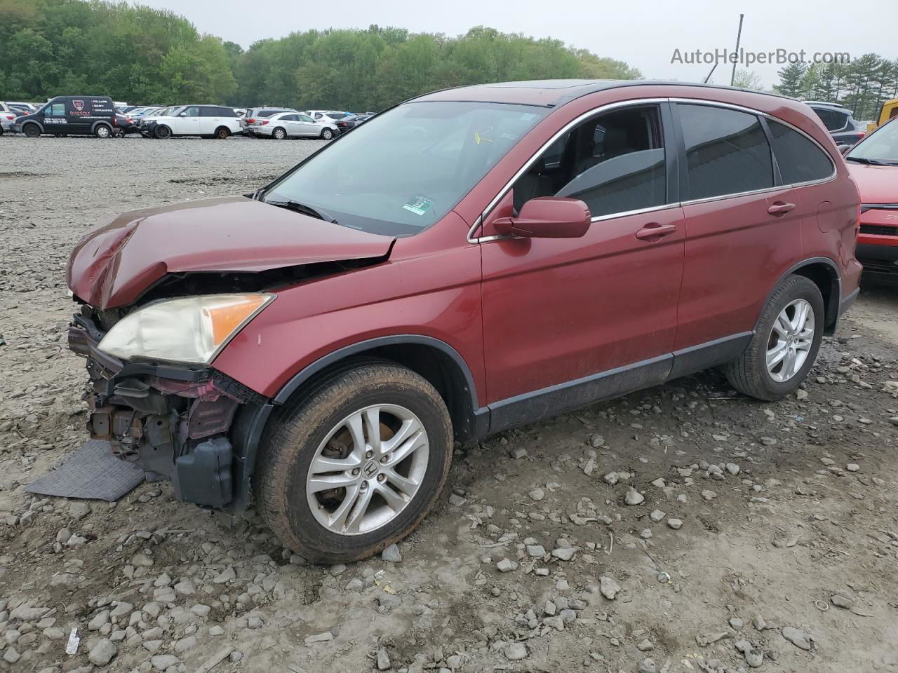 2010 Honda Cr-v Exl Red vin: JHLRE4H79AC006920