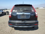 2010 Honda Cr-v Exl Black vin: JHLRE4H7XAC011124