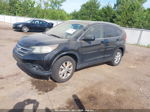 2012 Honda Cr-v Ex-l Black vin: JHLRM4H77CC010065