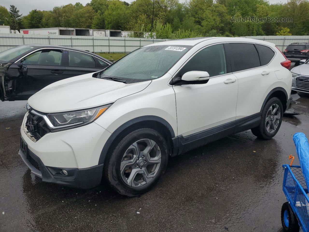 2019 Honda Cr-v Ex White vin: JHLRW2H58KX004831