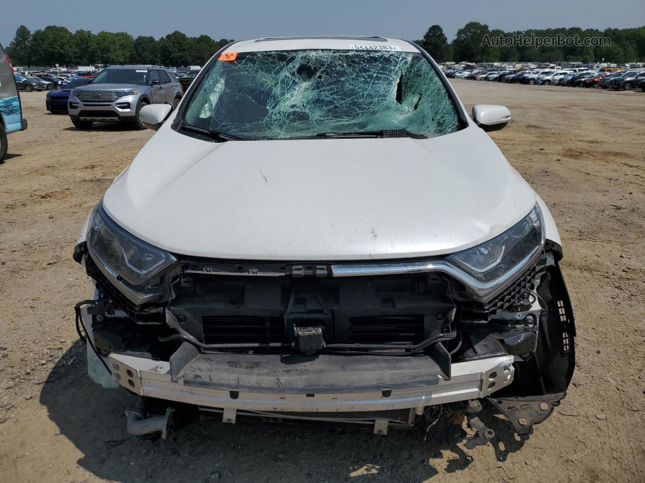 2019 Honda Cr-v Ex White vin: JHLRW2H59KX014803