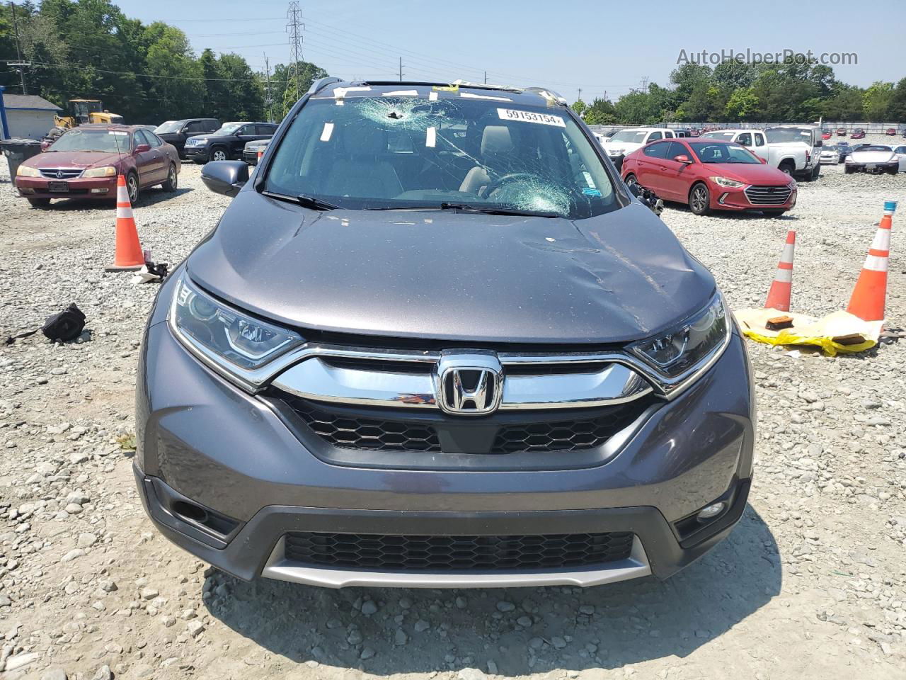 2019 Honda Cr-v Exl Gray vin: JHLRW2H80KX002307