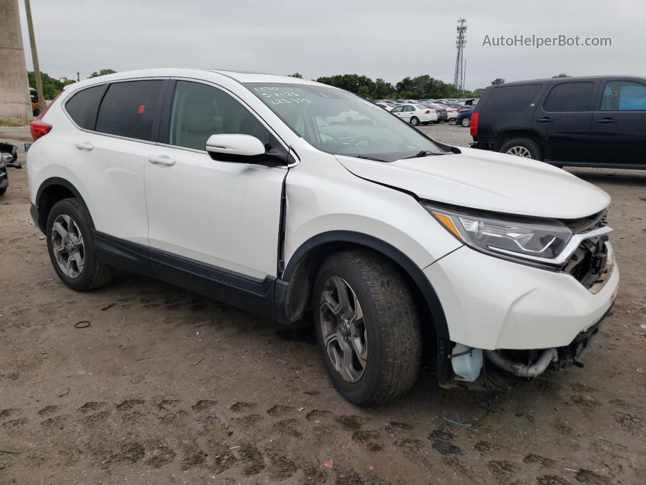 2019 Honda Cr-v Exl White vin: JHLRW2H88KX013524