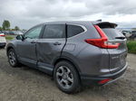 2019 Honda Cr-v Exl Gray vin: JHLRW2H89KX014181