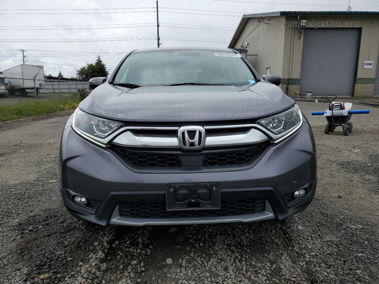 2019 Honda Cr-v Exl Gray vin: JHLRW2H89KX014181